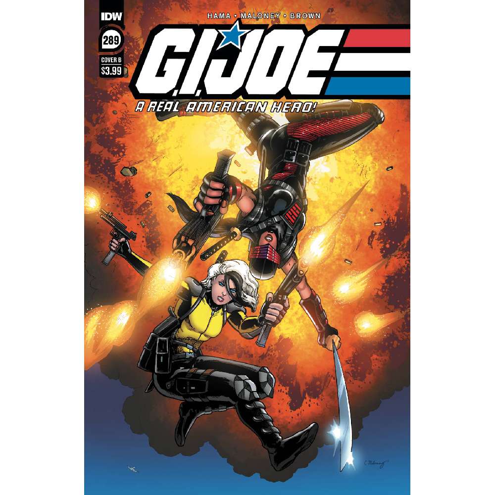 GI JOE A REAL AMERICAN HERO #289 CVR B CASEY MALONEY