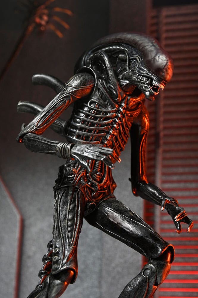 Alien: Romulus Actionfigur Ultimate Xenomorph XX121 18 cm