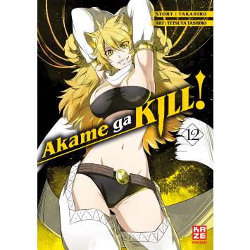 Akame ga Kill 12
